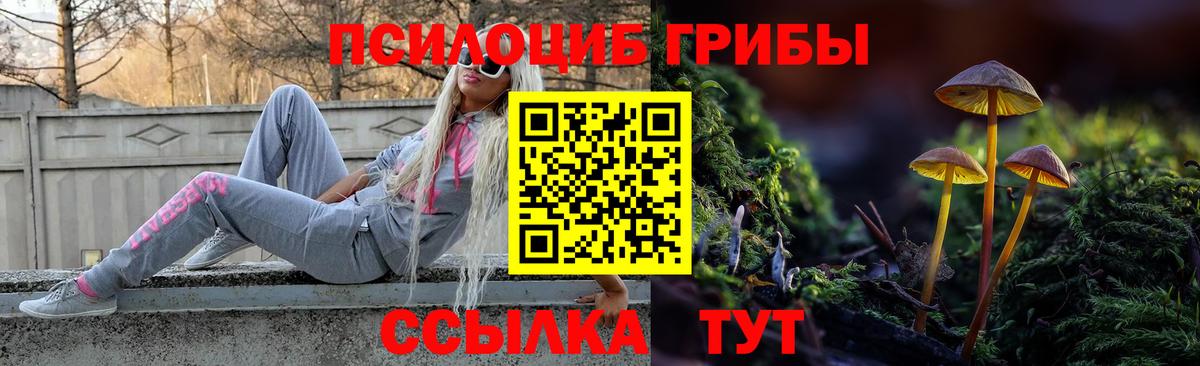 Галлюциногенные грибы ЛСД  Псилоцибиновые грибы ЛСД  Вход с VPN  Чернушка 