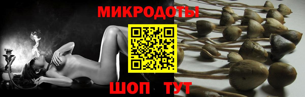 Псилоцибиновые грибы Cubensis Чернушка